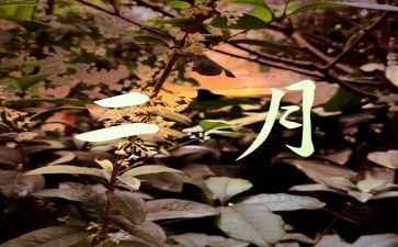 2月份销售工作总结6篇