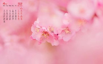 幼儿园大班4月工作总结7篇