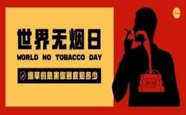 培训班531心得体会推荐6篇