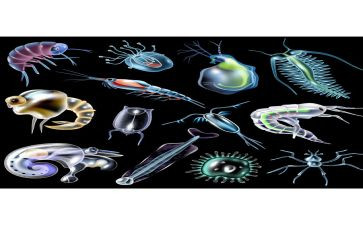 生物实验心得优质8篇