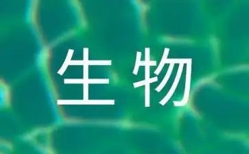 高中生物老师年度工作总结6篇