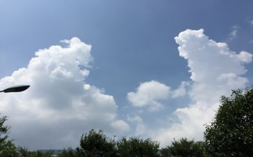 关于变化的作文精选8篇