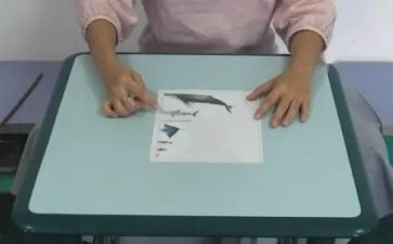 长与短作文800字最新6篇