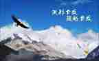 《超越自己》读后感8篇