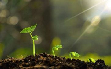 2024年成长工作总结推荐7篇