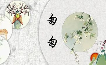 匆匆的读后感500字8篇