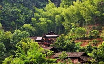 村年度工作总结及计划5篇