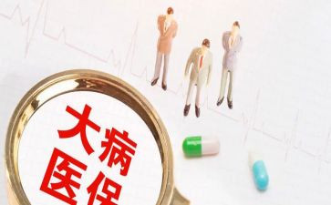 大病低保申请书8篇