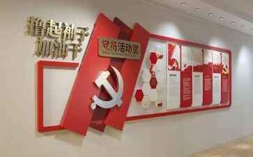 党建员党建工作个人总结6篇