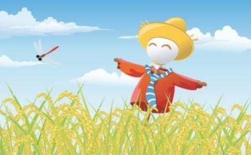 稻草人优秀作文7篇