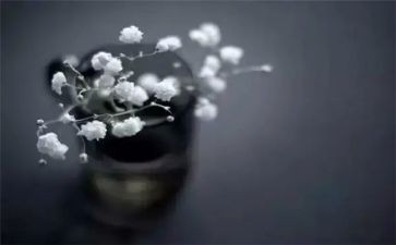 疫情的得与失作文参考5篇
