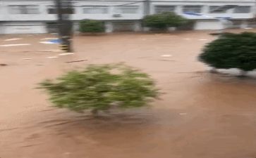 防汛会工作总结通用7篇