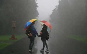 风雨中作文500字作文5篇