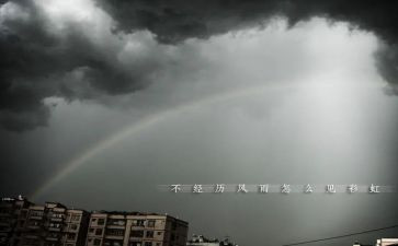 风雨草作文8篇