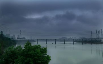 风雨草作文参考5篇