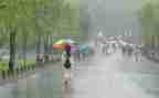 感谢那场风雨作文8篇