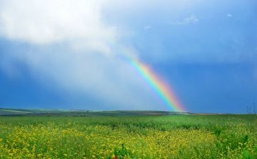 晋副主任医师的工作总结范文模板5篇