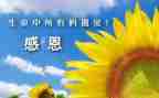 感谢感恩的作文8篇