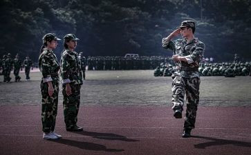 观训心得体会3000字7篇
