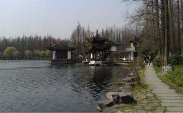 杭州年度工作总结6篇