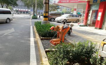 镇环卫所工作总结参考7篇