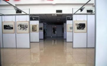 艺书画展活动总结8篇