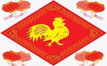幼儿园关于鸡的教案最新7篇