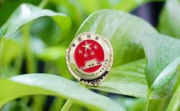 听检察官心得体会5篇