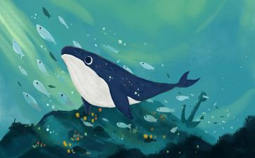 蓝鲸的眼睛,读后感优秀5篇