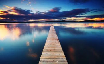 心的距离作文推荐5篇