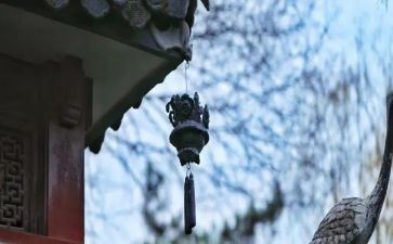 教育的苦与乐作文5篇