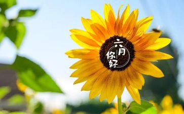 幼儿园六月份月工作总结推荐6篇