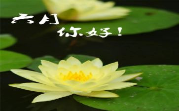 2024年幼儿园六月份工作总结优质5篇