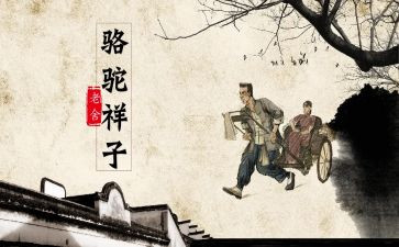 骆驼祥子第十一章读后感7篇