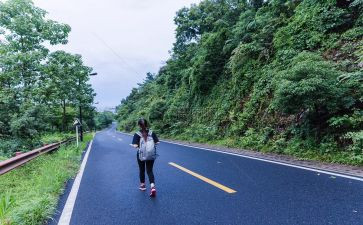 2024旅行社年终工作总结优质5篇