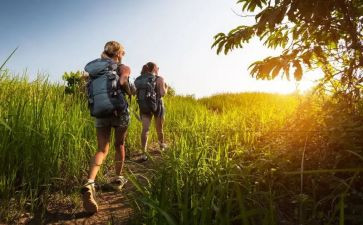 菌的旅行读后感最新5篇