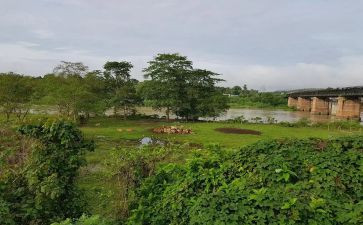 《忙》作文800字通用5篇