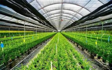 农业生产年终总结5篇