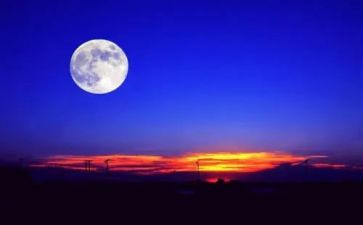 盼生日的优秀作文7篇