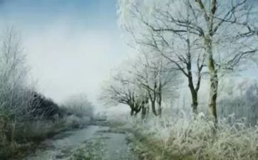 有关盼生日的作文6篇