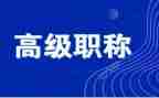 评高级职称的工作总结8篇