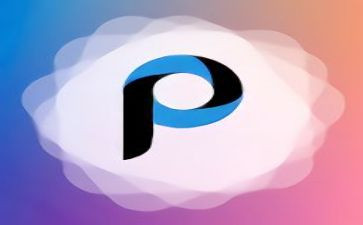 p图合同参考6篇