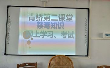 青骄课堂第二课堂活动总结7篇