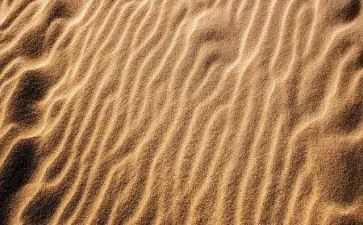 沙滩风活动方案7篇