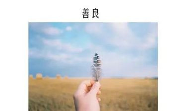 我发现善良作文8篇