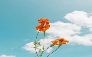 勤奋上进的事迹7篇