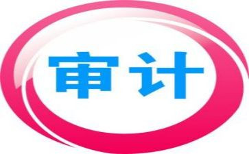 年度审计工作总结报告7篇