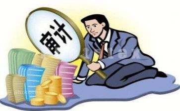 审计员个人总结范文通用5篇
