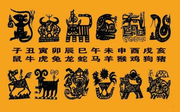 十二生肖中班教案7篇