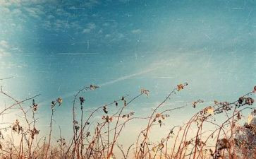 二十年后优秀作文优秀6篇